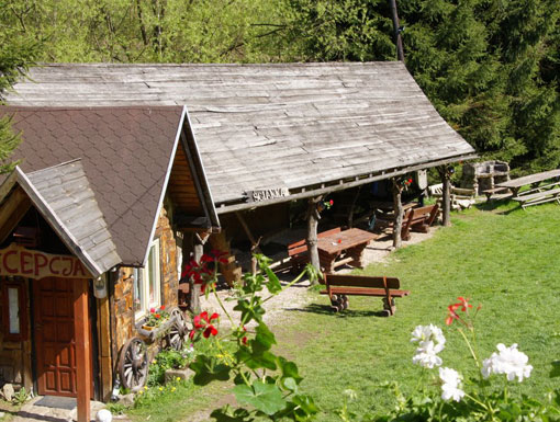 Szkoła wspinaczkowa 9UP