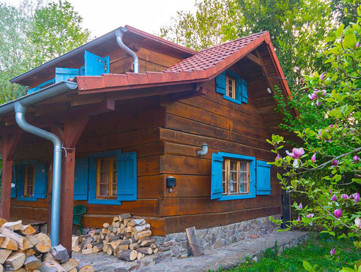 Agroturystyka z dzikim zwierzem 