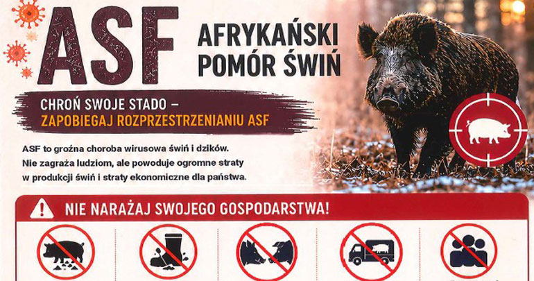 Ulotka informacyjna ASF 