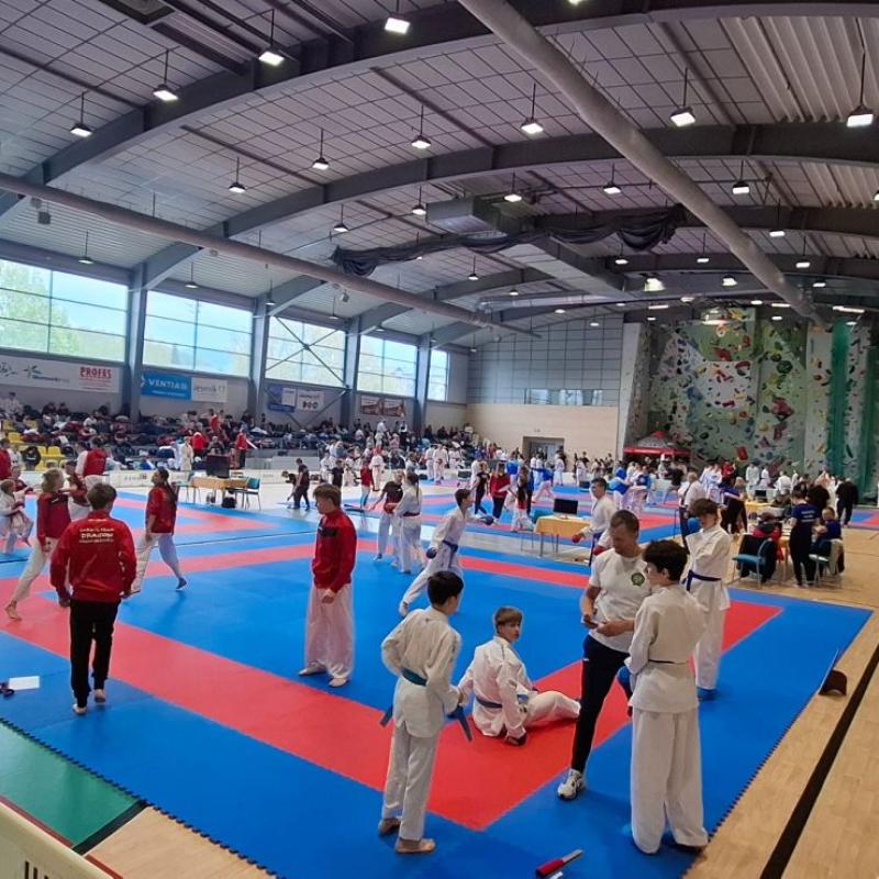 Mistrzostwa Moraw i Śląska w karate 