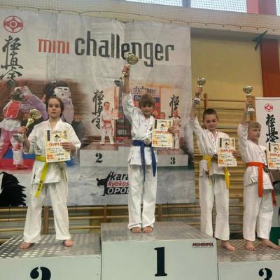 Sukces Kamiennogórskiego Klubu Oyama na Turnieju Mini Challenger w Chrząstowicach 
