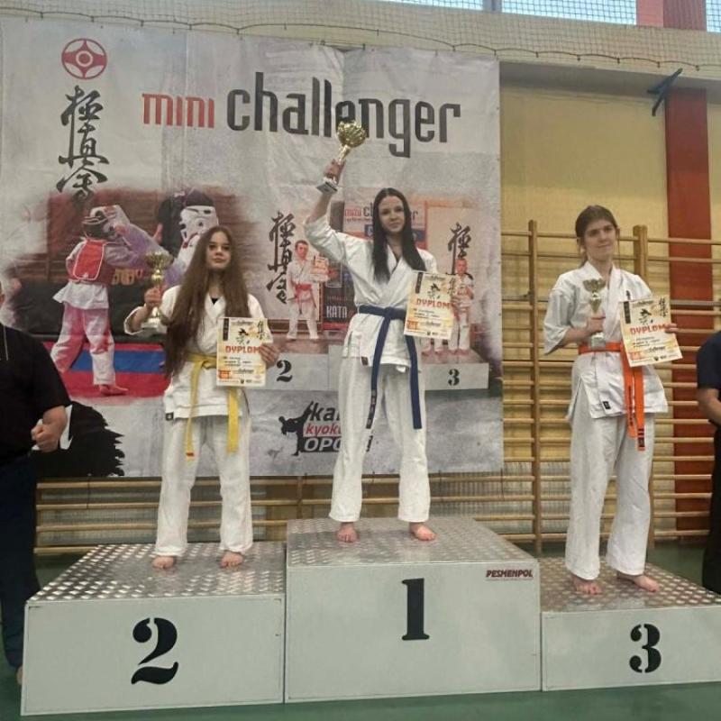 Sukces Kamiennogórskiego Klubu Oyama na Turnieju Mini Challenger w Chrząstowicach 
