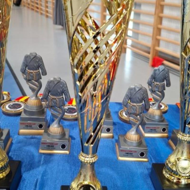 Międzywojewódzkie Mistrzostwa Młodzików 